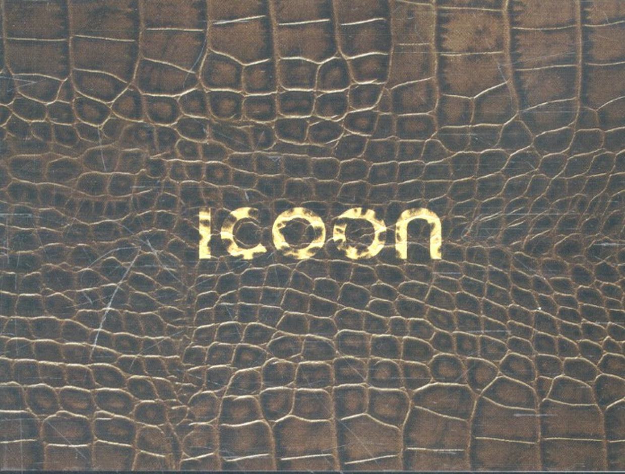 ICOON - Version: croco